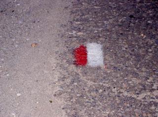 Do you know this international symbol?